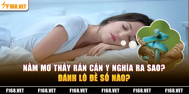 Nằm mơ thấy cả đàn rắn 