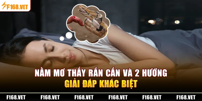 Nằm mơ thấy rắn cắn và 2 hướng giải đáp khác biệt