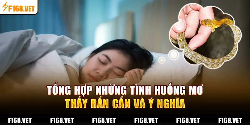 Tổng hợp những tình huống mơ thấy rắn cắn và ý nghĩa