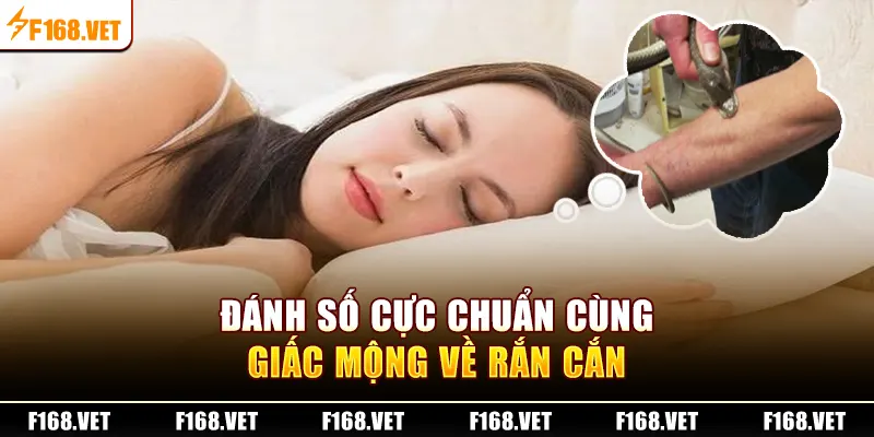 Đánh số cực chuẩn cùng giấc mộng về rắn cắn